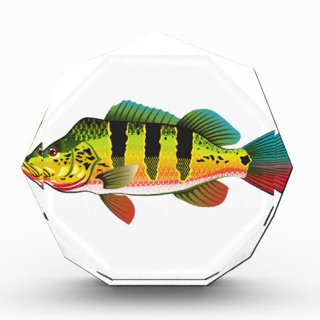Peacock Bass Bright Ocean Gamefish Illustration Acrylic Award