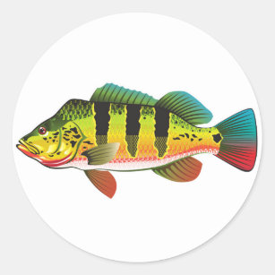 Peacock Bass bright Ocean Gamefish illustration Classic Round Sticker