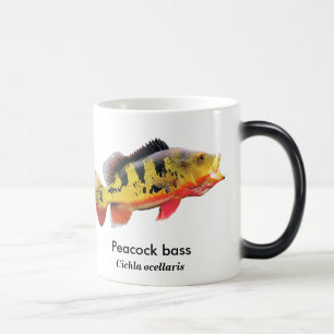Peacock bass color morph mug
