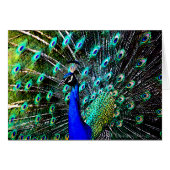 Peacock Batik 2 (blank card) (Front Horizontal)