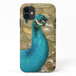 Peacock Beautiful Blue Bird Nature Photography iPhone 11 Case