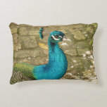 Peacock Beautiful Blue Bird Nature Photography Decorative Pillow