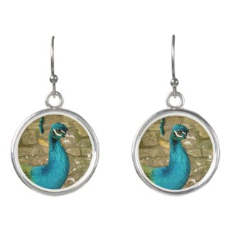 Peacock Beautiful Blue Bird Nature Photography Earrings