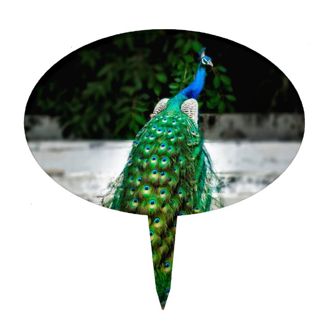 peacock beautiful feather art colours cake topper (Front)