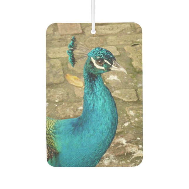 Peacock Beautiful Nature Photography Air Freshener (Front)