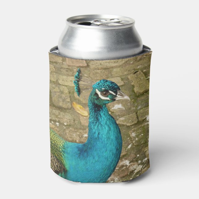 Peacock Beautiful Nature Photography Can Cooler (Can Front)