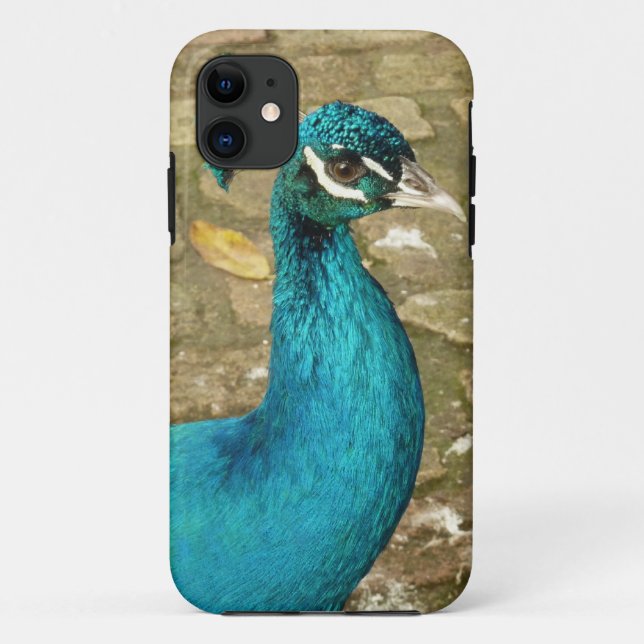 Peacock Beautiful Nature Photography Case-Mate iPhone Case (Back)