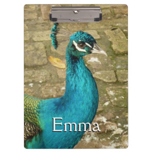 Peacock Beautiful Nature Photography Clipboard