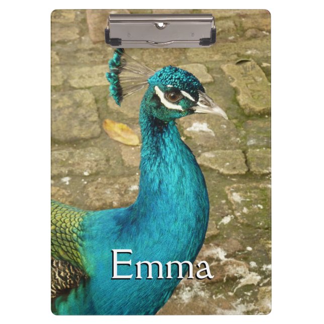 Peacock Beautiful Nature Photography Clipboard (Front)