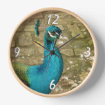 Peacock Beautiful Nature Photography Clock