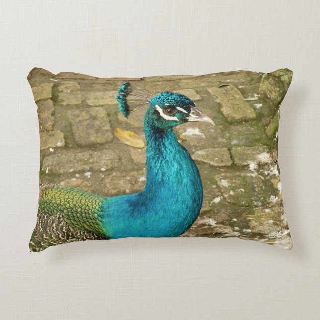 Peacock Beautiful Nature Photography Decorative Pillow (Front)