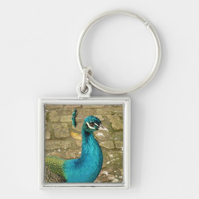 Peacock Beautiful Nature Photography Keychain (Front)