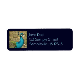 Peacock Beautiful Nature Photography Label