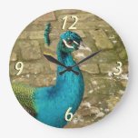 Peacock Beautiful Nature Photography Large Clock