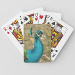 Peacock Beautiful Nature Photography Playing Cards