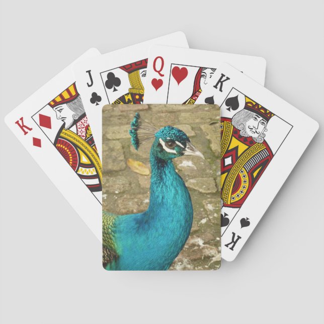 Peacock Beautiful Nature Photography Poker Cards (Back)
