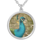 Peacock Beautiful Nature Photography Silver Plated Necklace