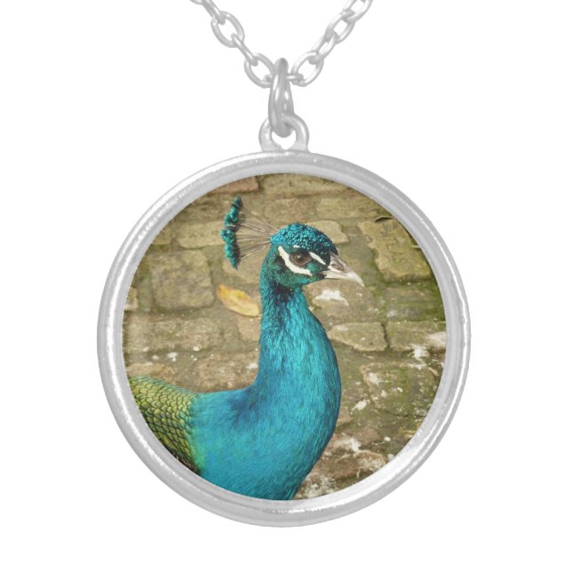 Peacock Beautiful Nature Photography Silver Plated Necklace (Front)