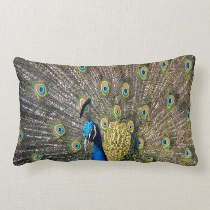 Peacock Beauty peace calm and joy Pillows