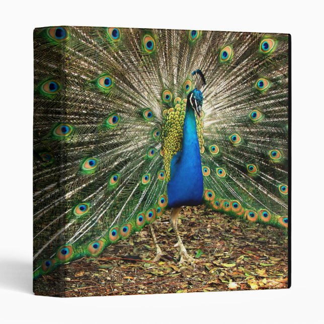 Peacock binder (Front/Spine)