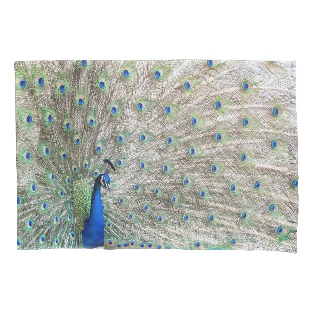 Peacock Bird Animal Feathers Pillowcase (Front)