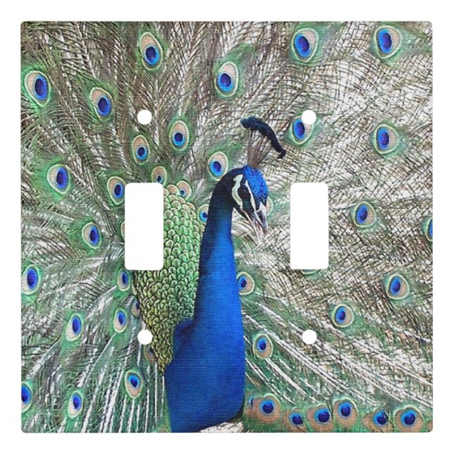 Peacock Bird Animal Wildlife Light Switch Cover (Front)