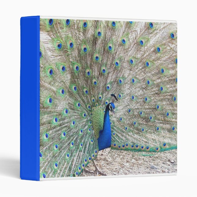 Peacock Bird Binder (Front/Spine)