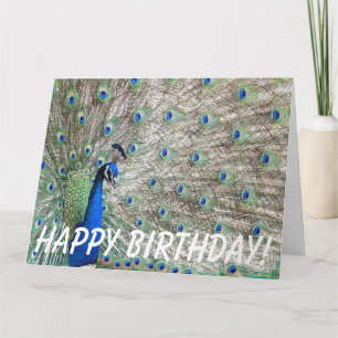 Peacock Bird Birthday Big Greeting Card