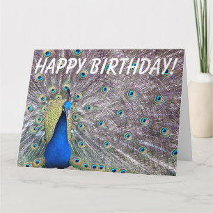 Peacock Bird Birthday Big Greeting Card