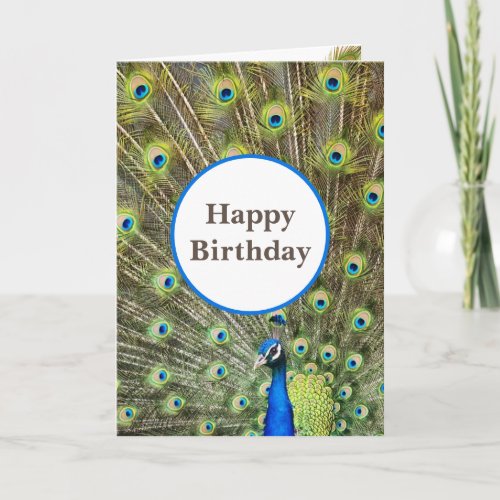 Peacock Bird Birthday Greeting Note Card