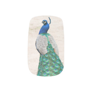 Peacock Bird Feather Nail Art Manicure Sticker