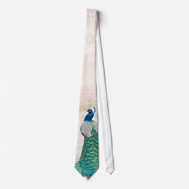 Peacock Bird Feather Teal Turquoise Vinta Mens Tie (Front)