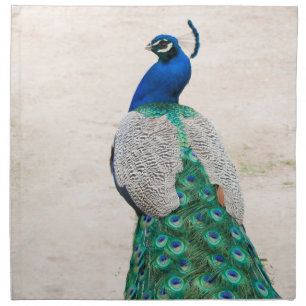 Peacock Bird Feather Teal Turquoise Vintag Napkins