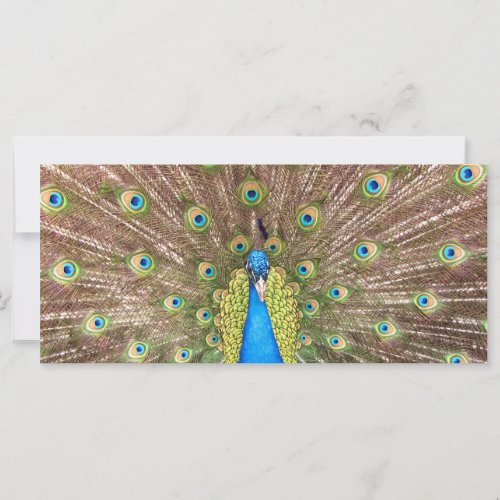 Peacock bird feathers photo custom name bookmark
