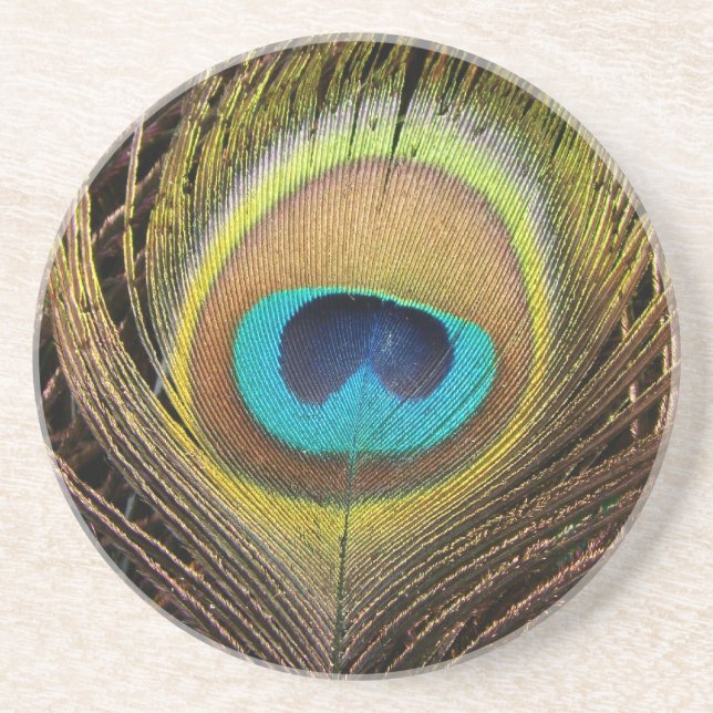 Peacock Bird Feathers Wildlife Animals Sandstone Coaster (Front)