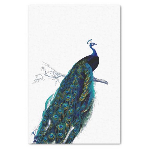 Peacock Bird French Script Ephemera Decoupage  Tissue Paper