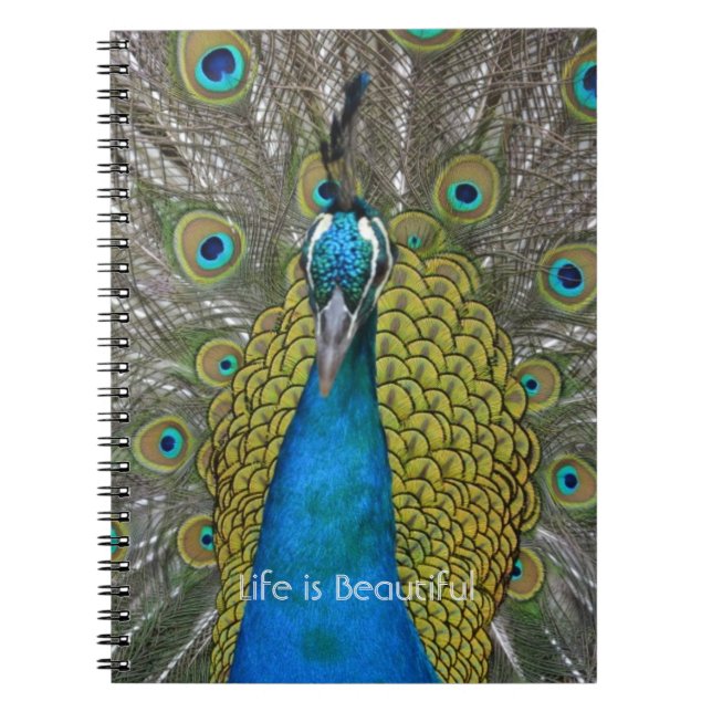 Peacock Bird Kauai (my photography) Notebook (Front)