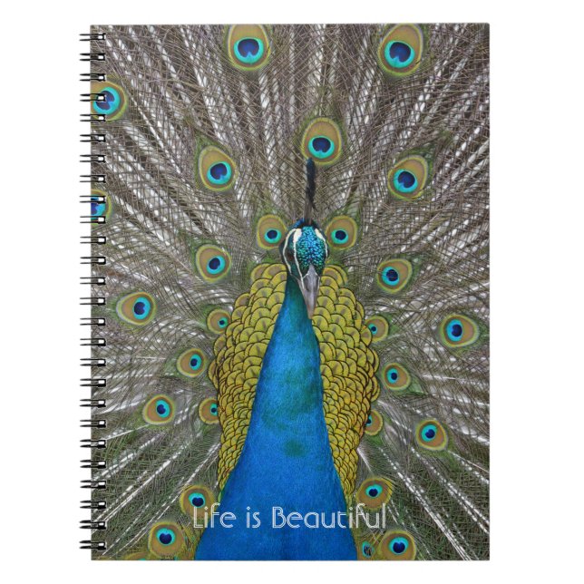 Peacock Bird Kauai (my photography) Notebook (Front)