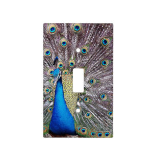 Peacock Bird Light Switch Cover