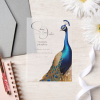 Peacock bird overlay summer garden engagement