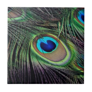 Peacock Bird Peafowl Tile by Wonderful12345 at Zazzle