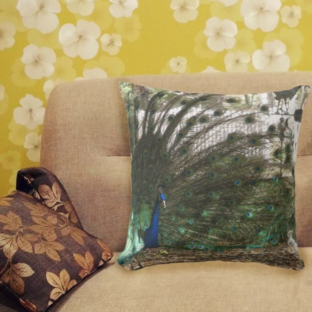 Peacock Bird Plumage and Albino Peahen Photograph Throw Pillow (A throw pillow with a photograph of a peacock bird and an albino peahen.)