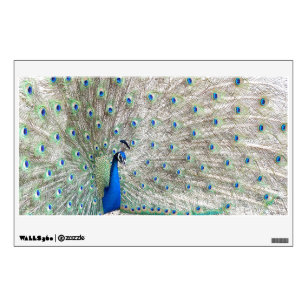 Peacock Bird Wall Decal