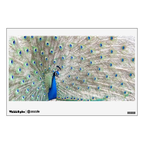 Peacock Bird Wall Decal