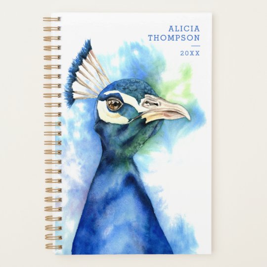 peacock bird watercolor art