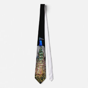 Peacock Bird Wildlife Animal Tie
