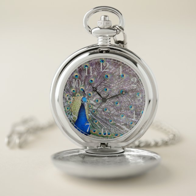 Peacock Bird Wildlife Feathers Pocket Watch (Inside)