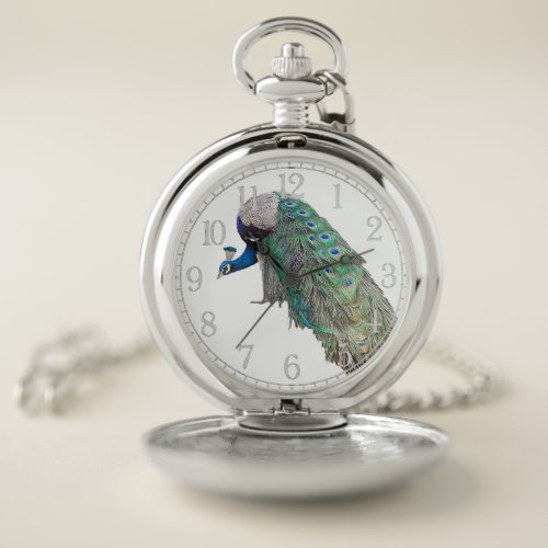 Peacock Bird Wildlife Feathers Pocket Watch