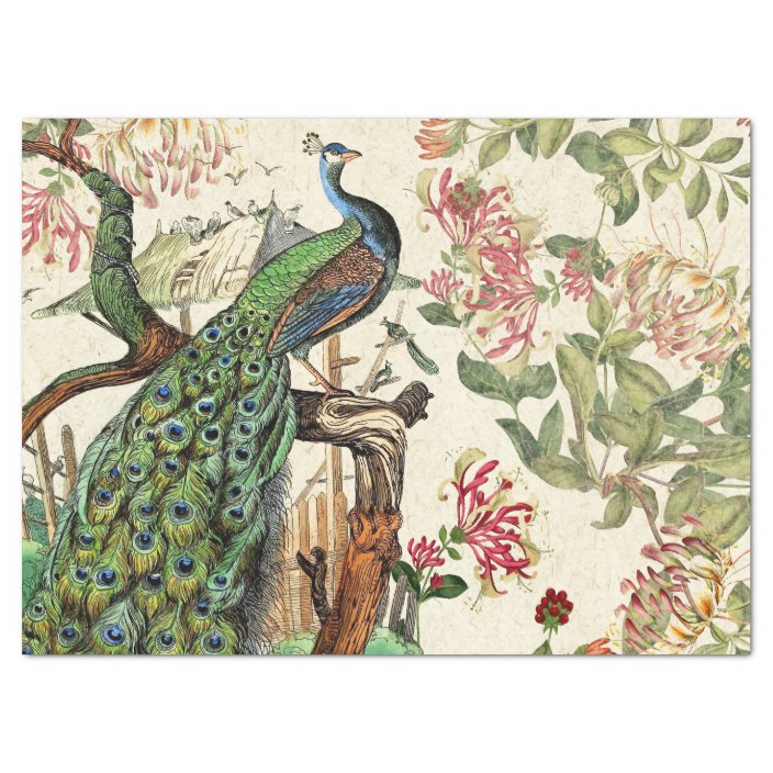 Peacock Birds Honeysuckle Flowers Tissue Paper | Zazzle.com