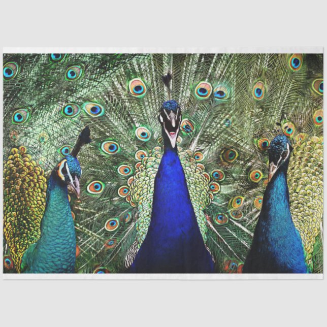 Peacock Birds Wall Art Decoupage Tissue Paper (Front)